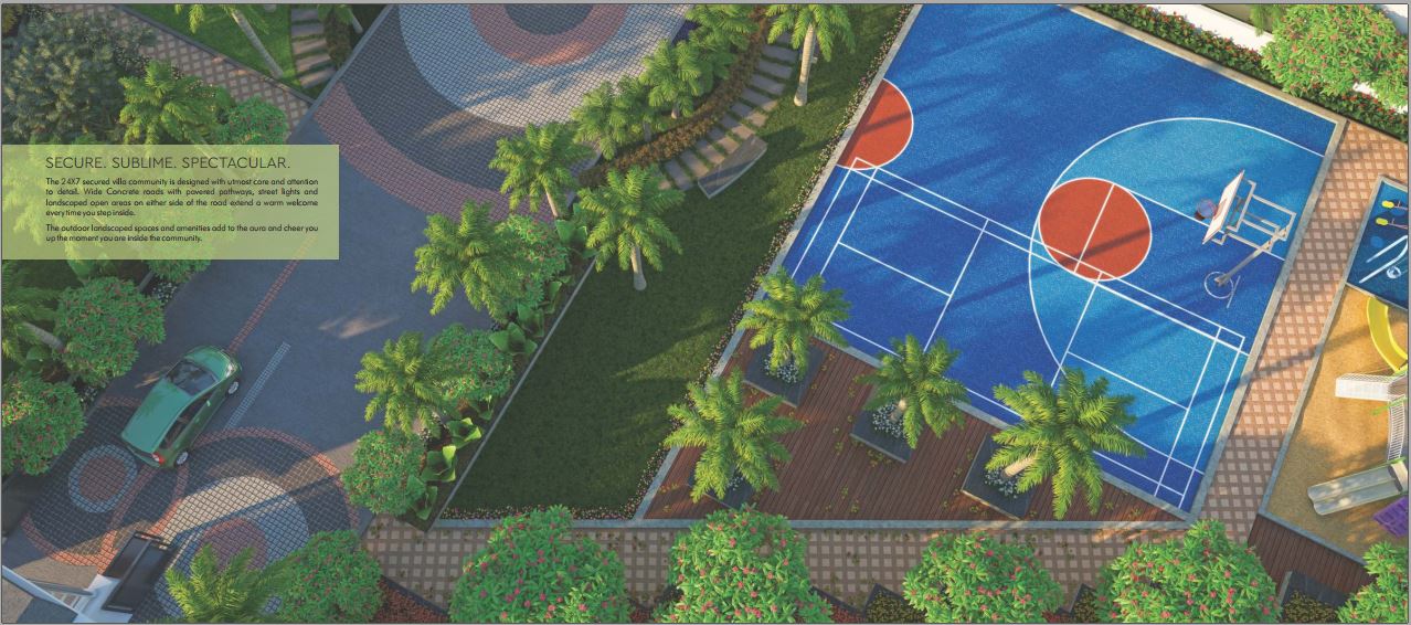 Basketball Court